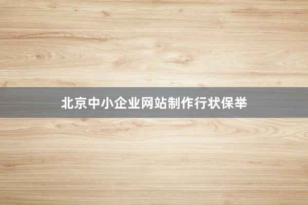 北京中小企业网站制作行状保举