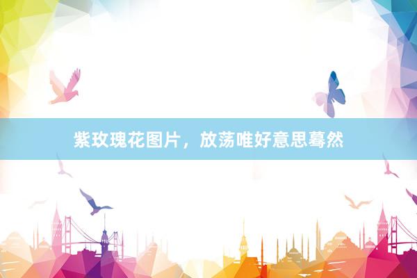紫玫瑰花图片,放荡唯好意思蓦然