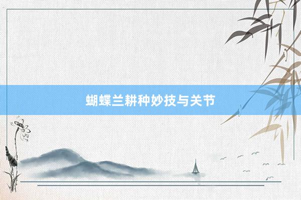 蝴蝶兰耕种妙技与关节