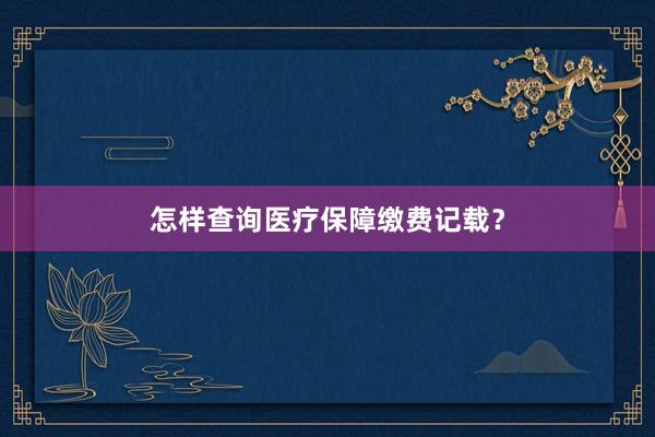 怎样查询医疗保障缴费记载？