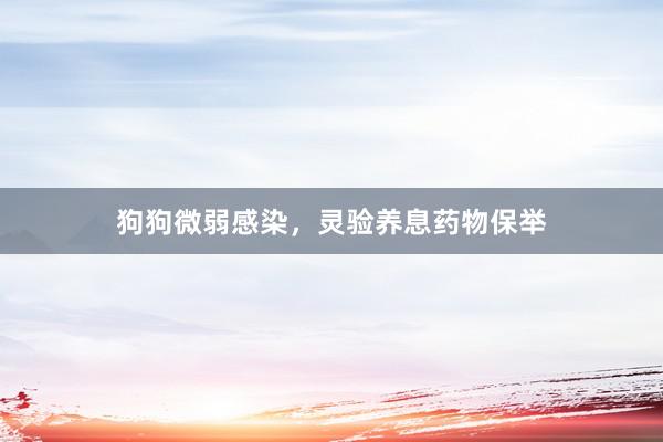 狗狗微弱感染，灵验养息药物保举